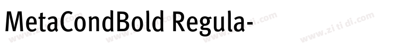 MetaCondBold Regula字体转换